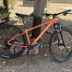 Specialized Rockhopper Sport 29
