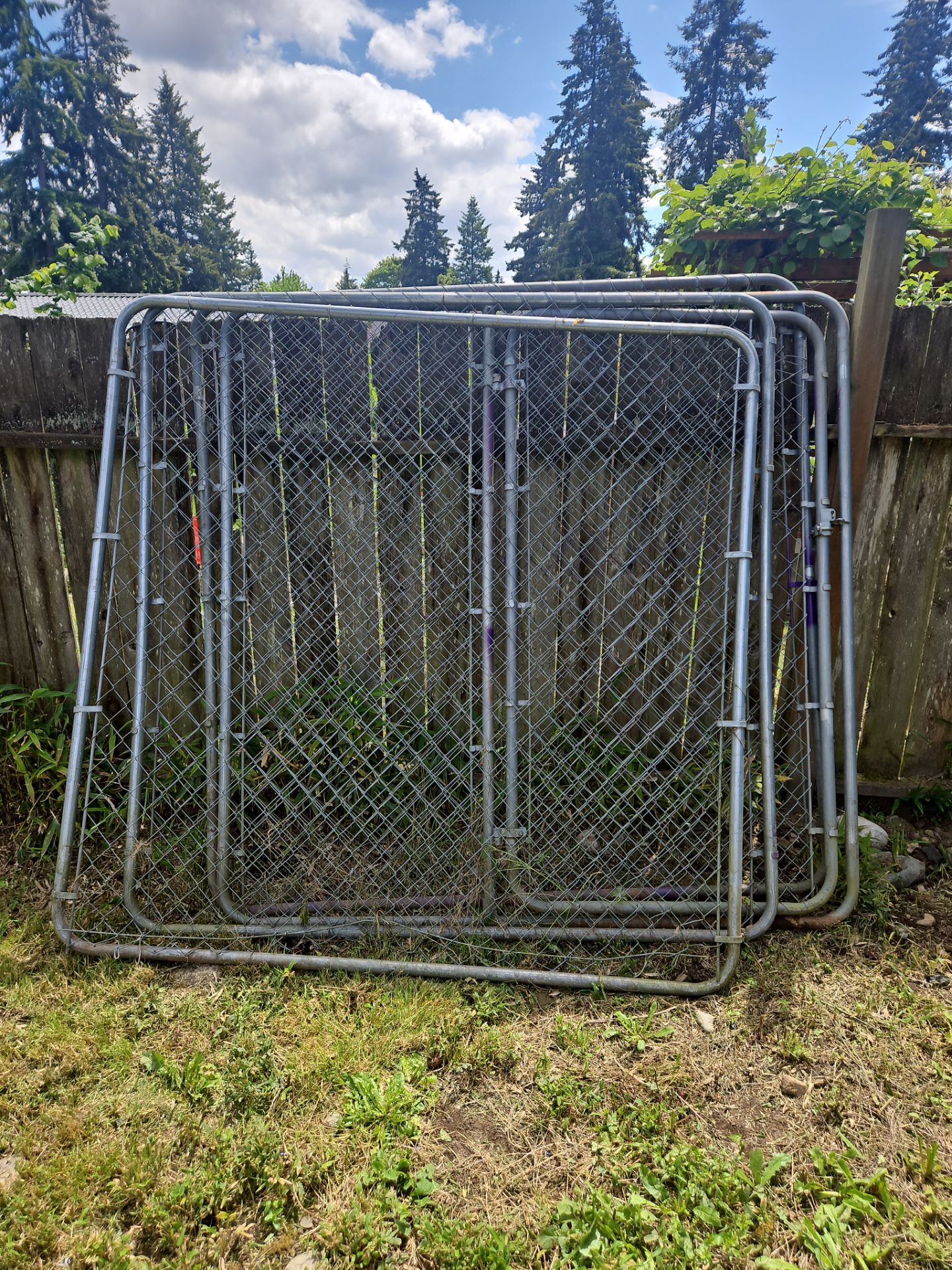 Dog kennel