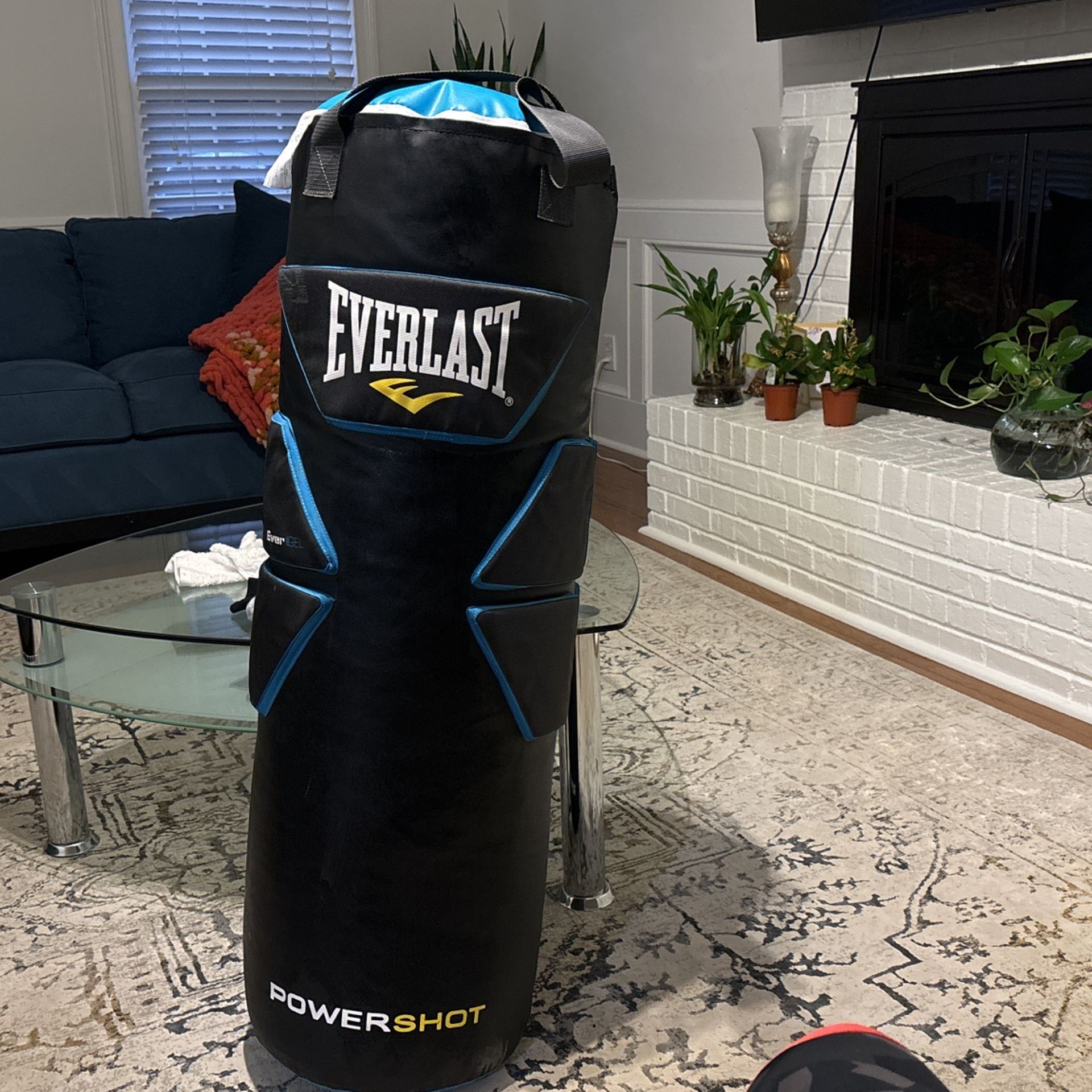 80 Pound Power Shot Ever Last Punching Bag