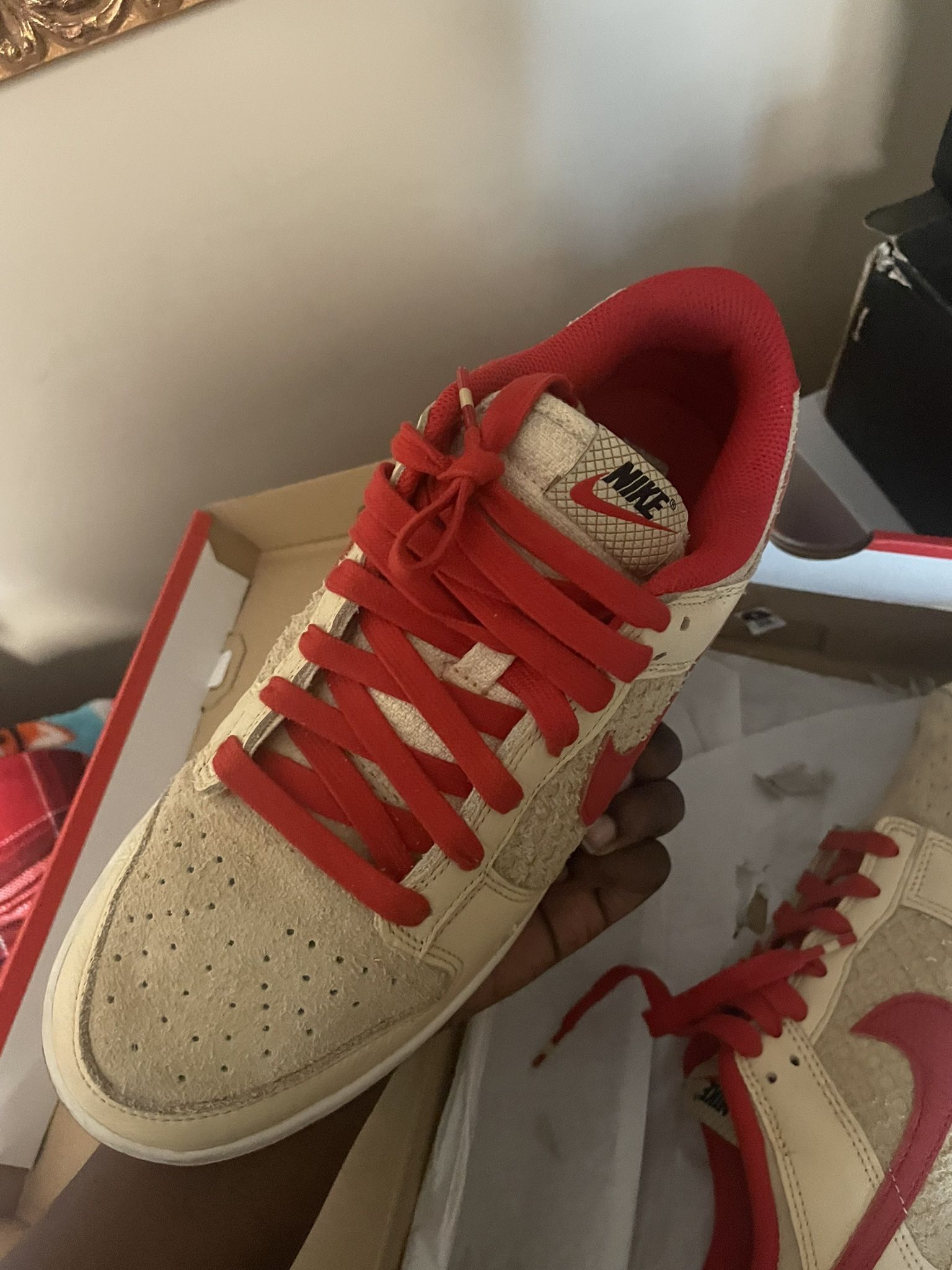 Nike Dunks 