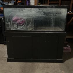 75 Gallon Aquarium