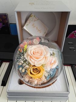 Rosas naturales persevadas $ 15