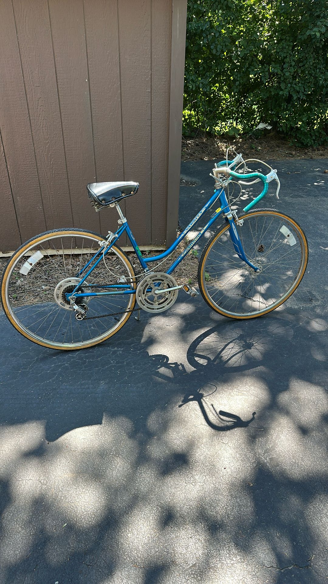 Schwinn 10 Speed Road Bike