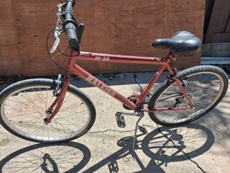 Raleigh m30 mountain bike