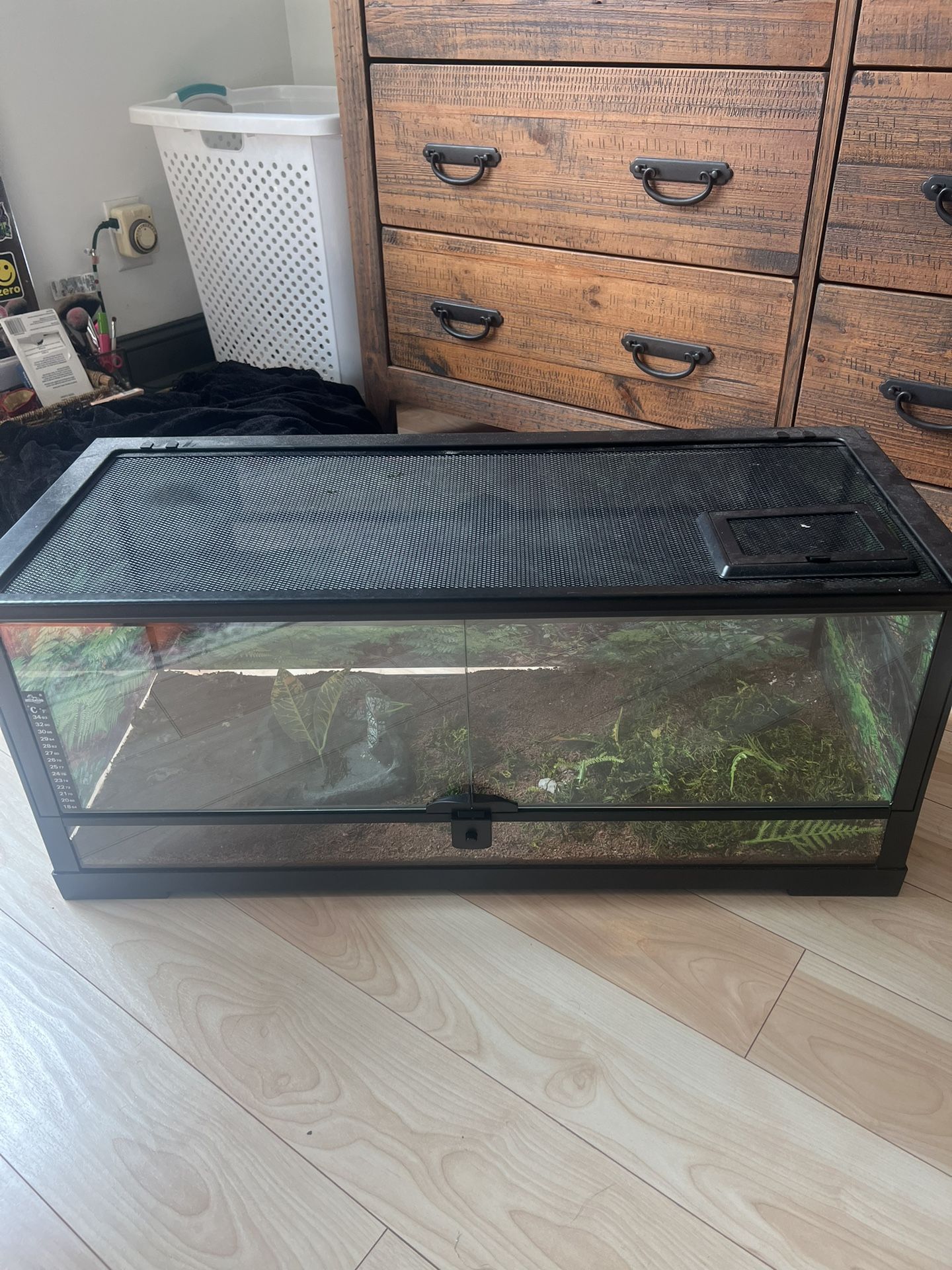 25 Gal Front Opening Reptile Tank With Accessories