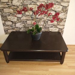 Solid Wood Coffee Table