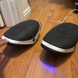 Segway Roller skates