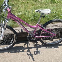 Trek Mt220