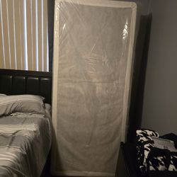 King Box Spring 