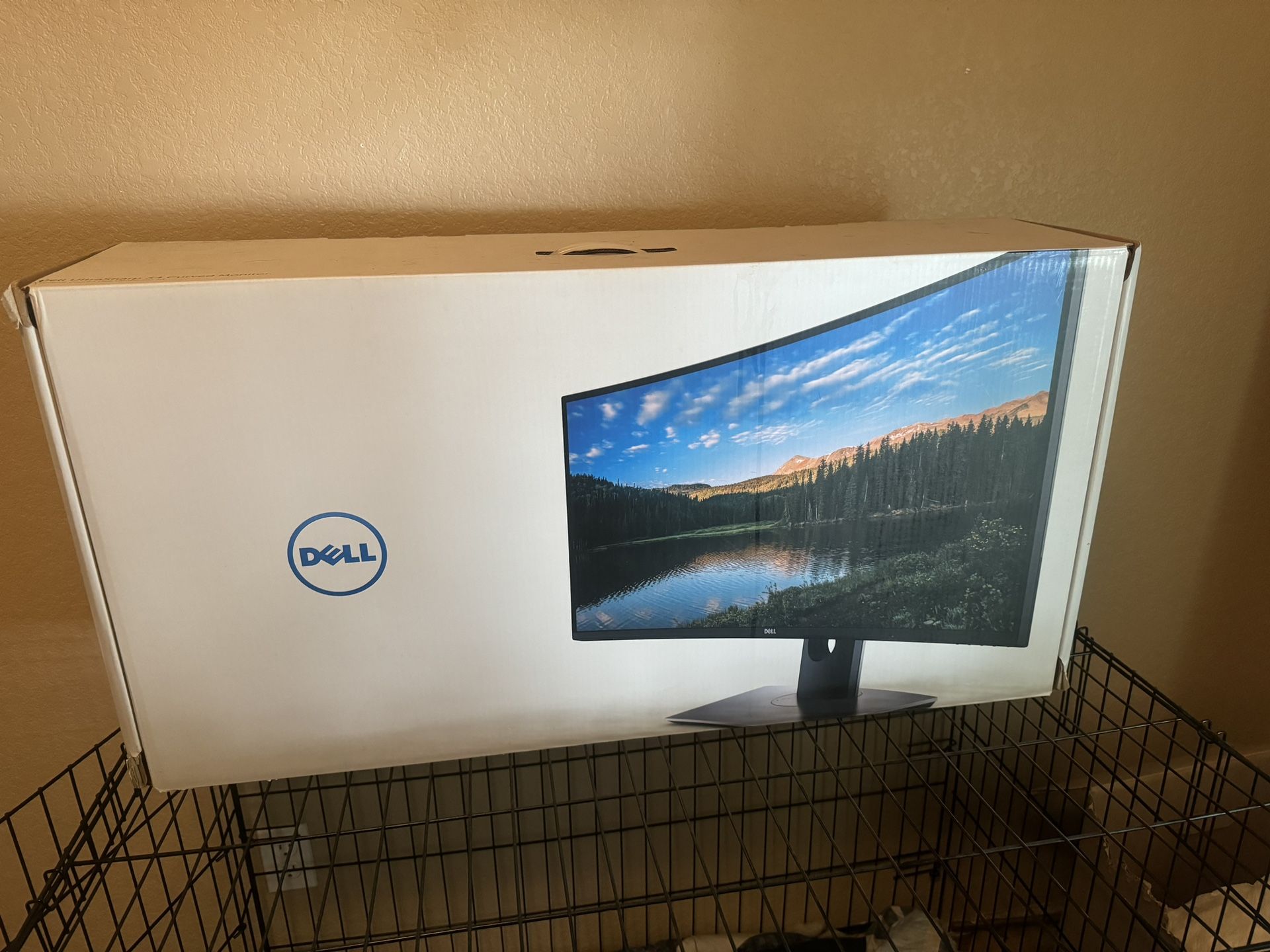 Dell Computer Monitor 