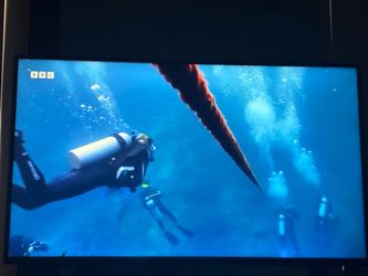 43”LG  4K UHD UA75 AI Smart TV