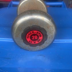Golds Gym 20 Pounds  DumbBell Chrome Rubber Grip Single