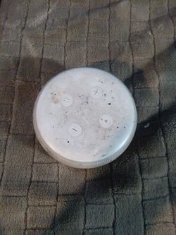 Amazon Alexa Device