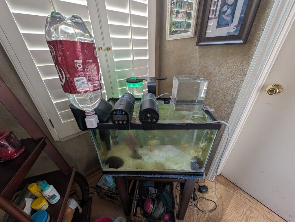 Aquarium, Substrate, Filters, Auto Feeders, White Light, Cycled Water, Heater, Negative Pressure Fish Tank