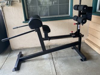 Glute & Hamstring Developer 