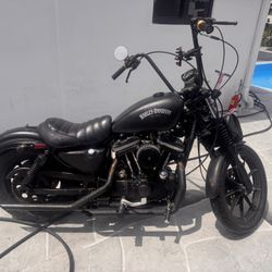 1987 Harley Davidson