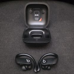 Apple Beats by Dr. Dre Powerbeats Pro Totally Wireless Bluetooth Earphones