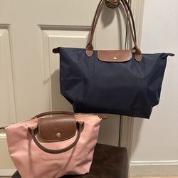 Longchamp Set (pink And Blue)