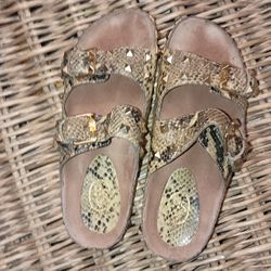 ASH Slip On 