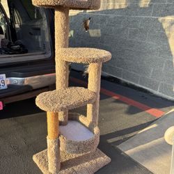 Cat Tree