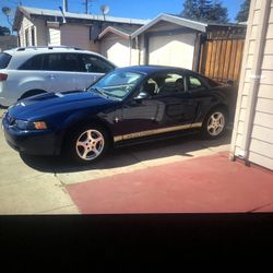 2002 Mustang 