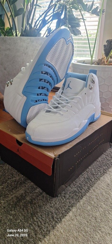 Jordan 12 Retro 'Melo' 2025