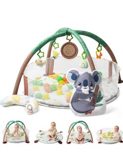 Baby Activity Gym