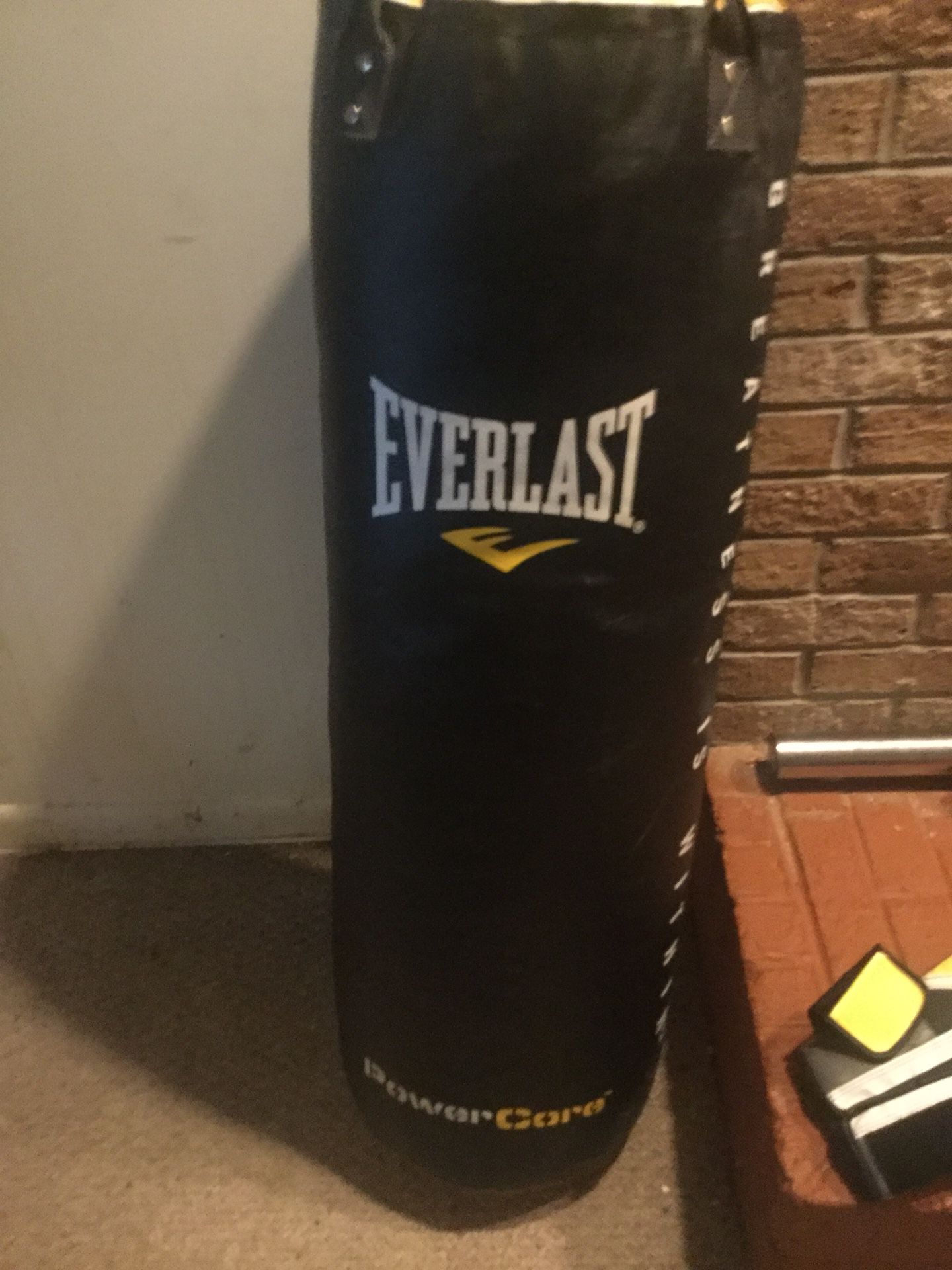 Brand Everlast punching bag 200lbs