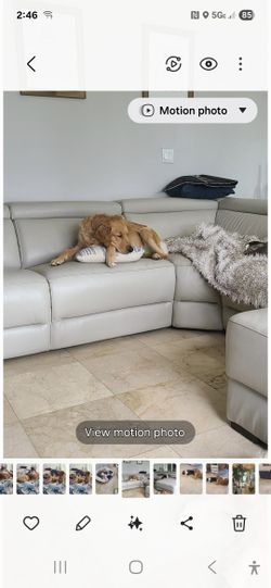 Leather Sofa
