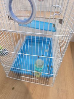 Hamster cage