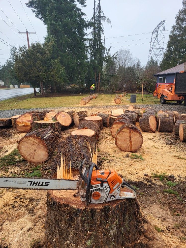Tree Work