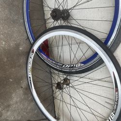 Fixie Bicycle Tires And Rims 