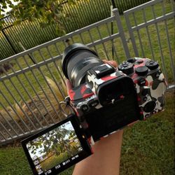Sony A7Siii + Tamron 28-75mm Lens