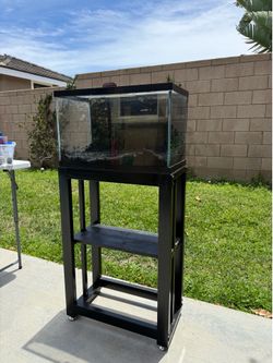 10 gallon fish tank + stand - $200 OBO