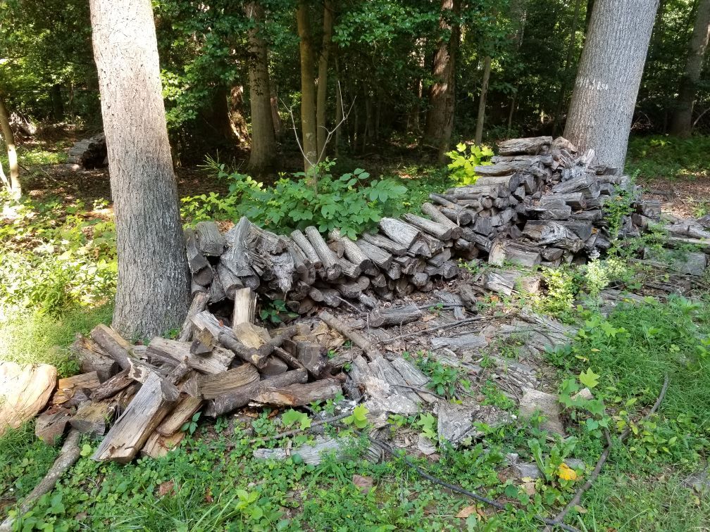 Free firewood