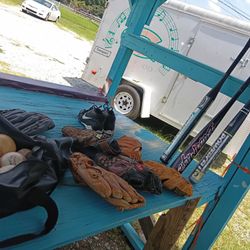 Baseball And Bat Collection