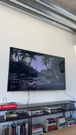 Samsung 65 Inch TV
