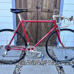 Vintage Univega Ital Sport Road Bike With  Campagnolo Components