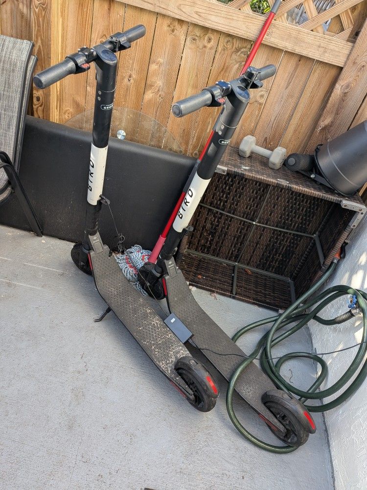 Bird ES1 Electric Scooters (2)