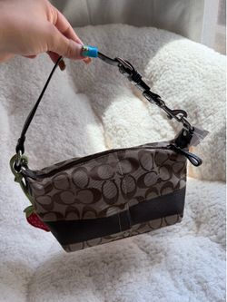Coach brown stripe demi bag