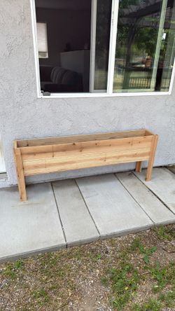 Raised Planter box