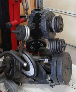 Dumbbells & Weight Plates