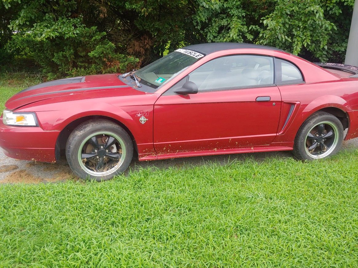 1999 Mustang Anaversary