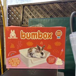 Bunny Box (potty Training)