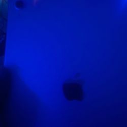 Ipad 10th Gen