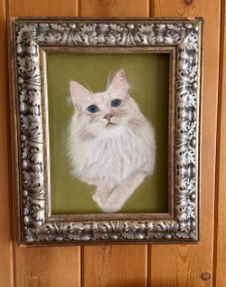 Portrait of Cat