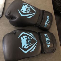 Venom Boxing Gloves