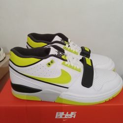 Nike Alpha Force Size 11 NEW W/BOX BILLIE EILISH 