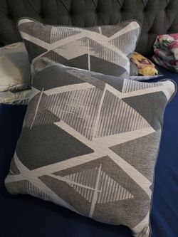 2 New Throw Pillows