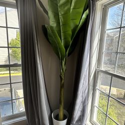 8ft Tall Faux Banana Plant